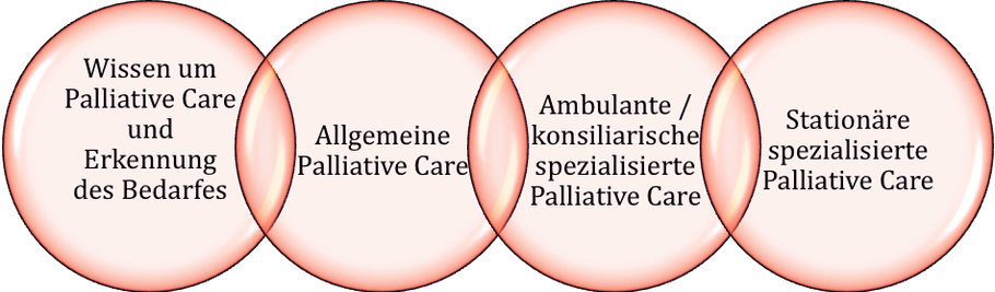 Diagram: the chain of palliative care